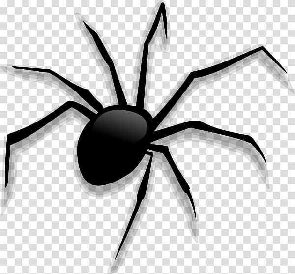 spider clipart transparent background