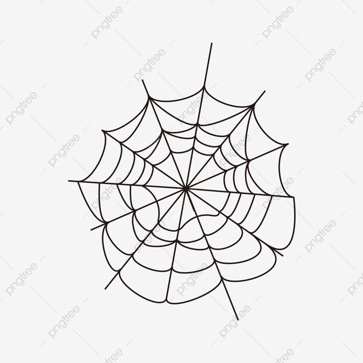spider clipart web