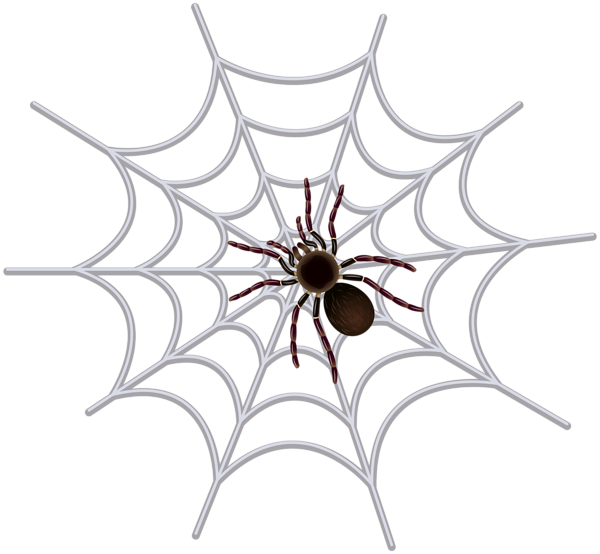 spiderweb clipart spide