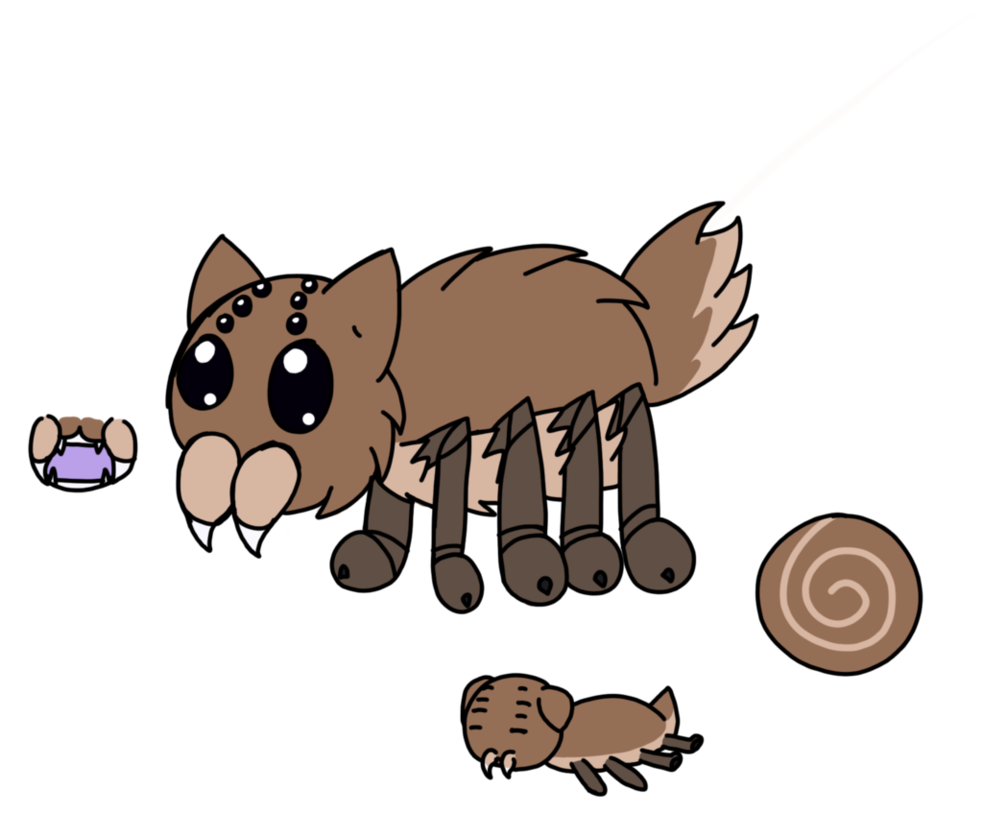 Spider clipart wolf spider, Spider wolf spider Transparent FREE for ...