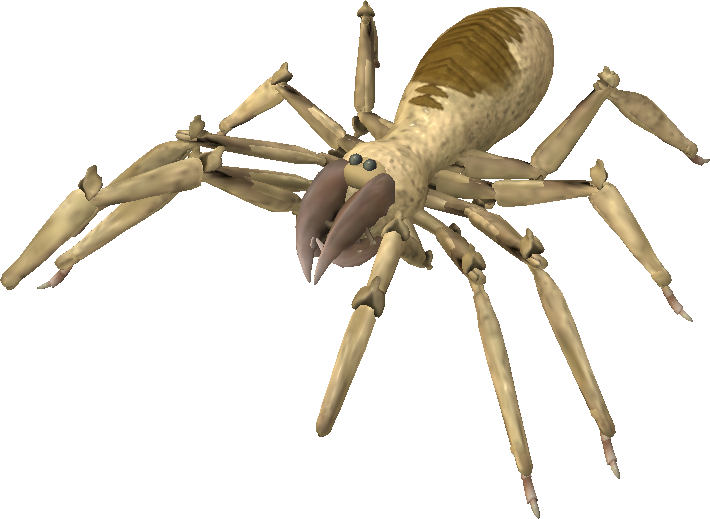 Spider Clipart Wolf Spider, Spider Wolf Spider Transparent FREE For ...