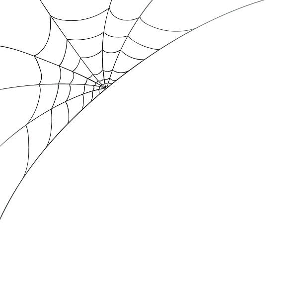 Spiderweb clipart corner. Spider web station 