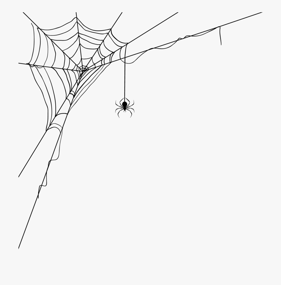 Spider web transparent background. Spiderweb clipart corner
