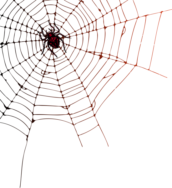 spiderweb clipart happy