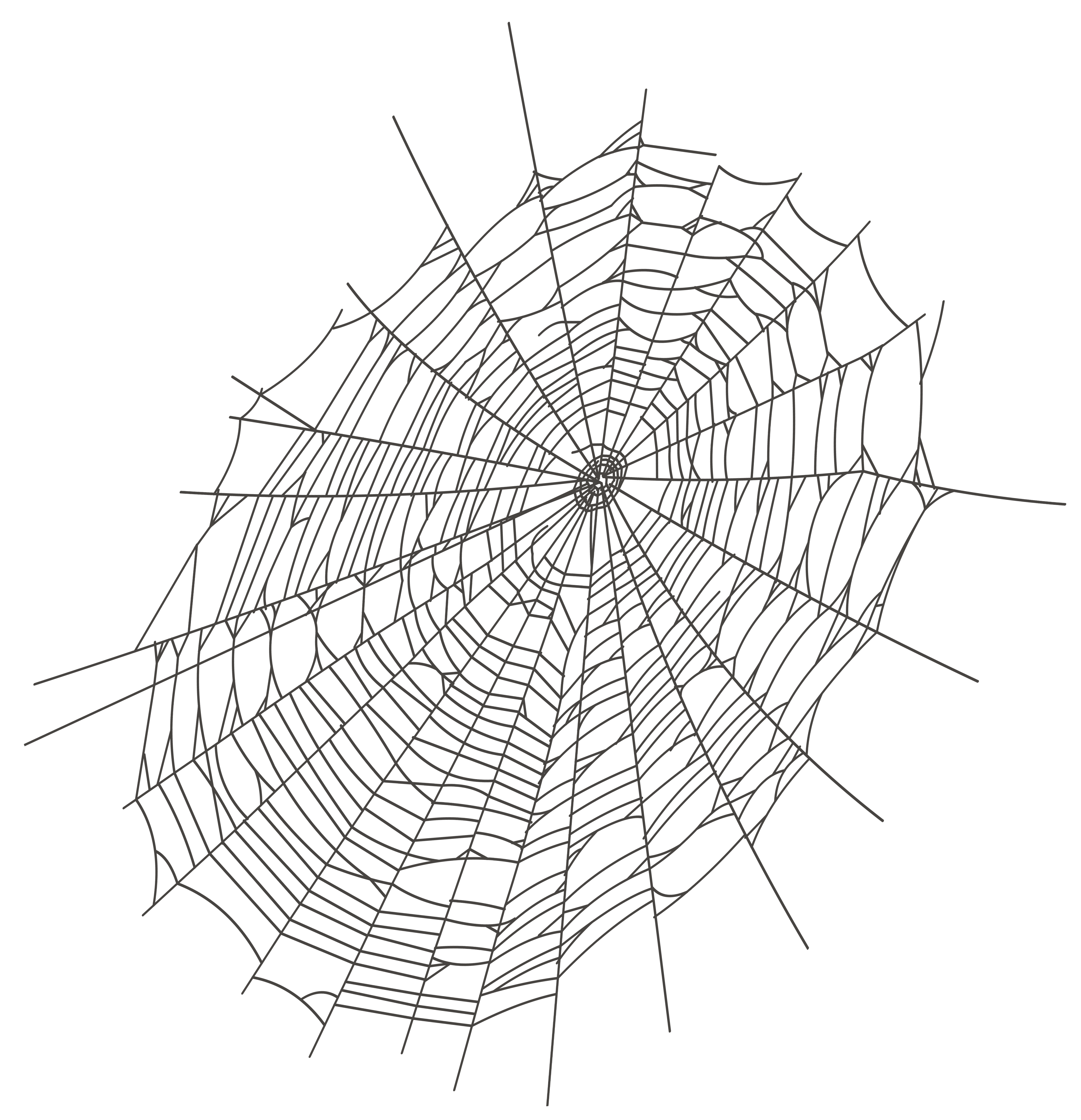 Inspirational of white spider. Spiderweb clipart spide