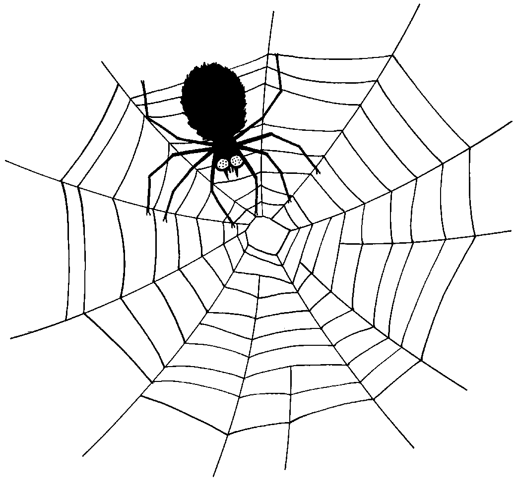 spiderweb clipart spider home