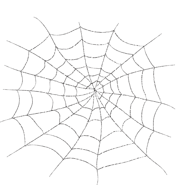 spiderweb clipart spider silk