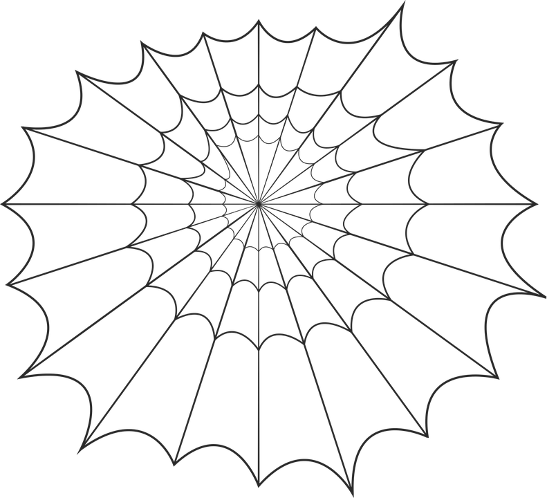 Spiderweb clipart spider silk. Web clip art transprent