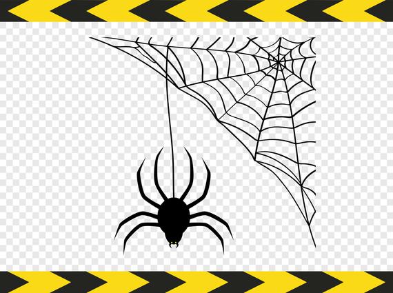 spiderweb clipart svg