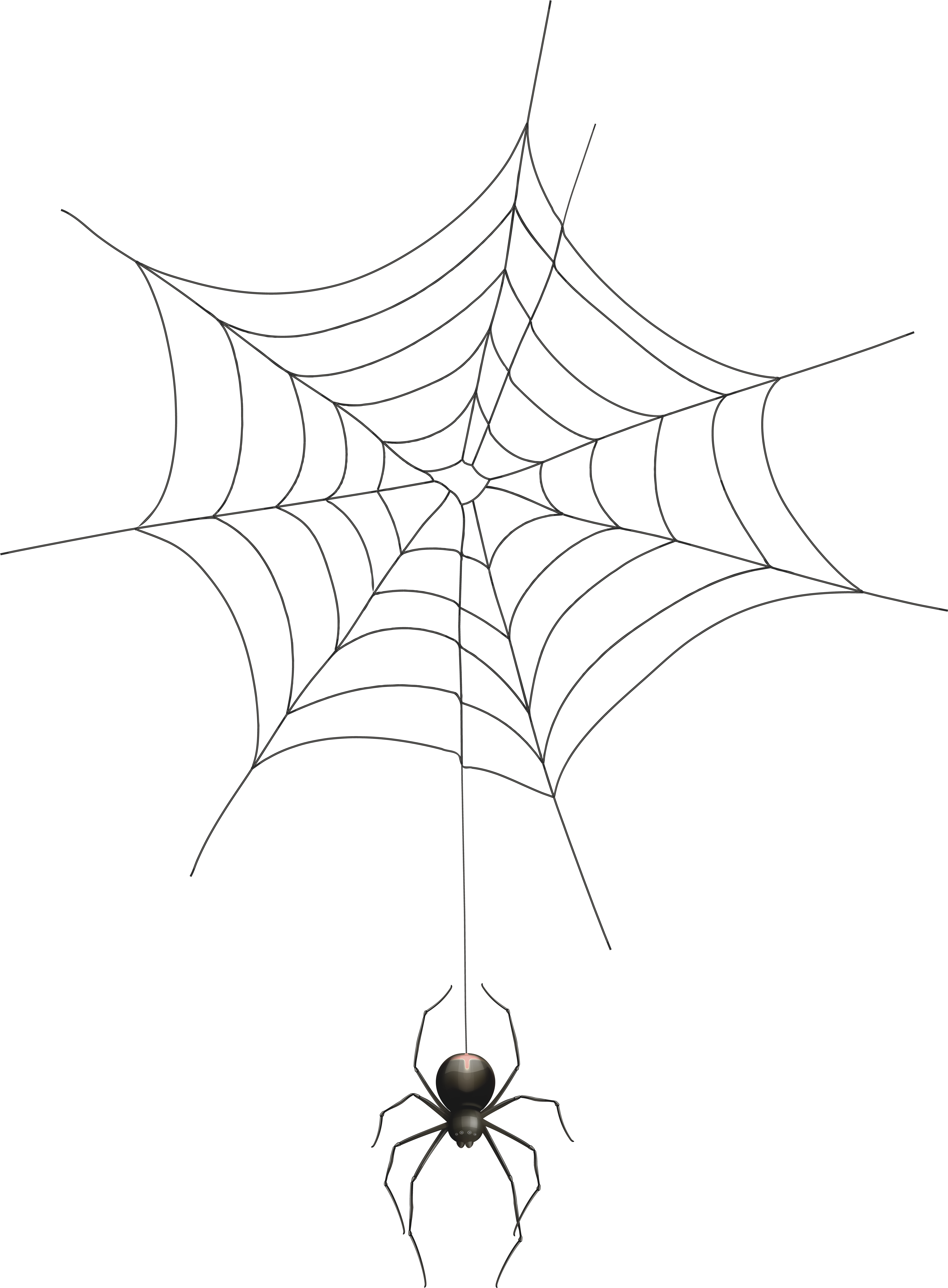 Spiderweb clipart transparent background. Realistic spider web 