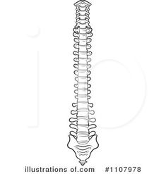 skeleton clipart spine