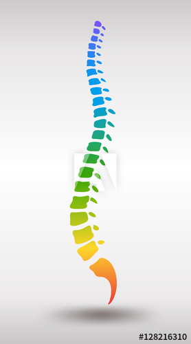 Human rainbow gradient colored. Spine clipart back bone