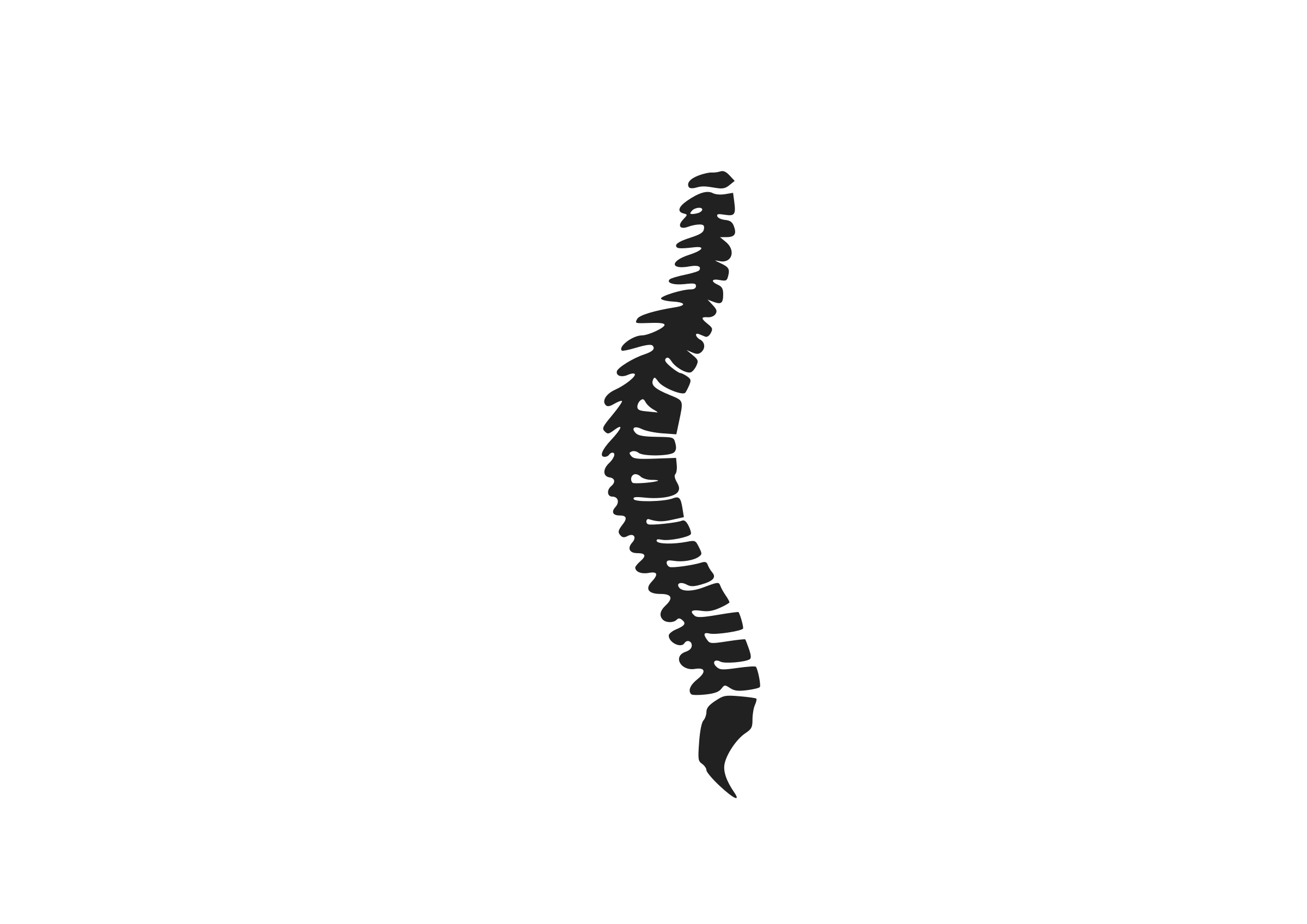 spine clipart black and white