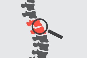 spine clipart curved spine