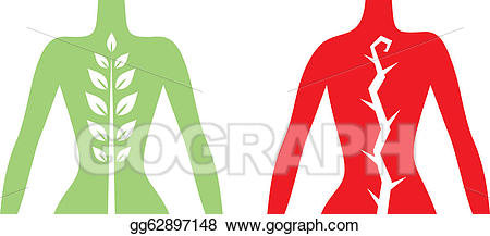 spine clipart curved spine