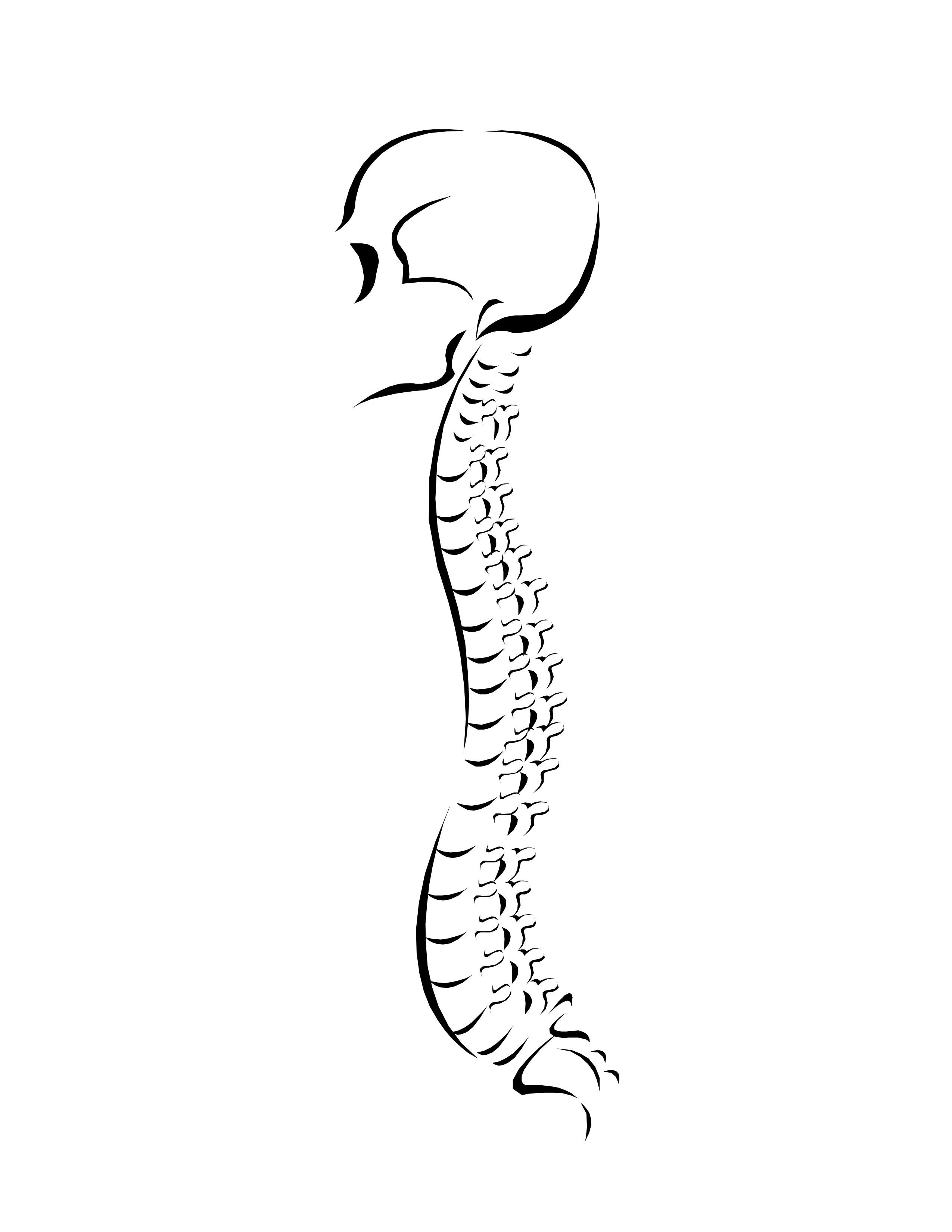 spine clipart drawn