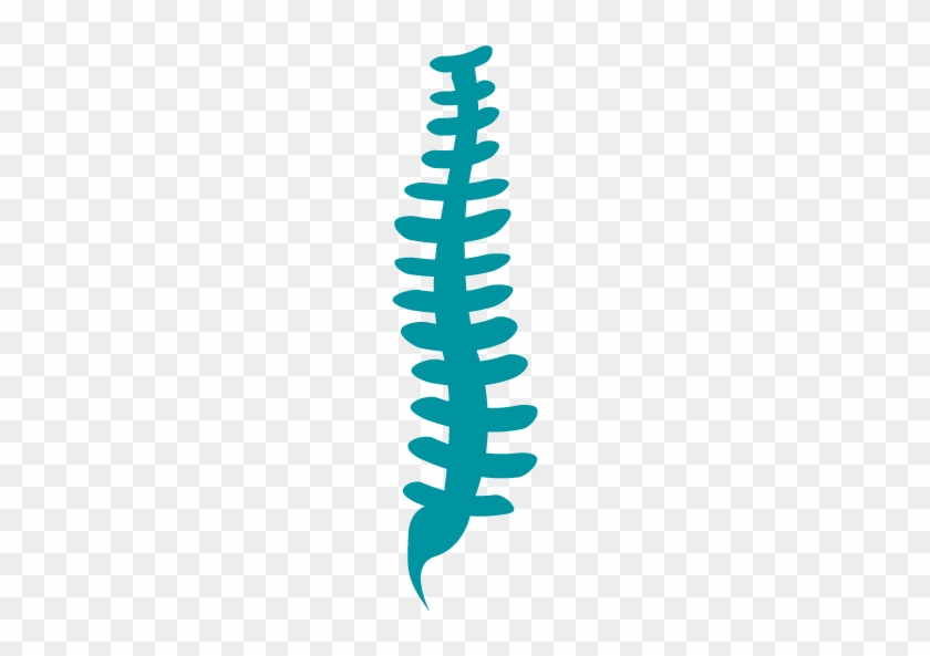 spine clipart large
