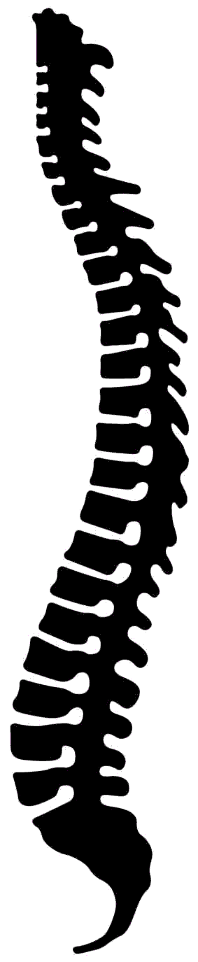 spine clipart silhouette