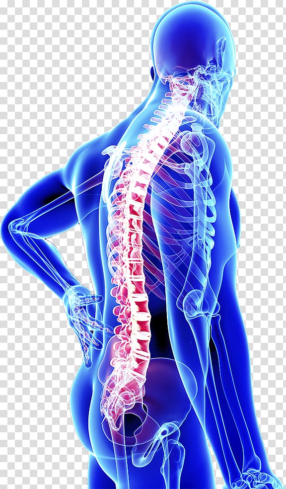 spine clipart spine surgery
