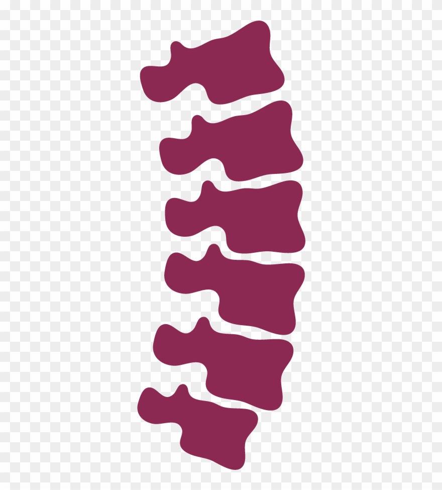 Chiropractic icon pinclipart . Spine clipart transparent background