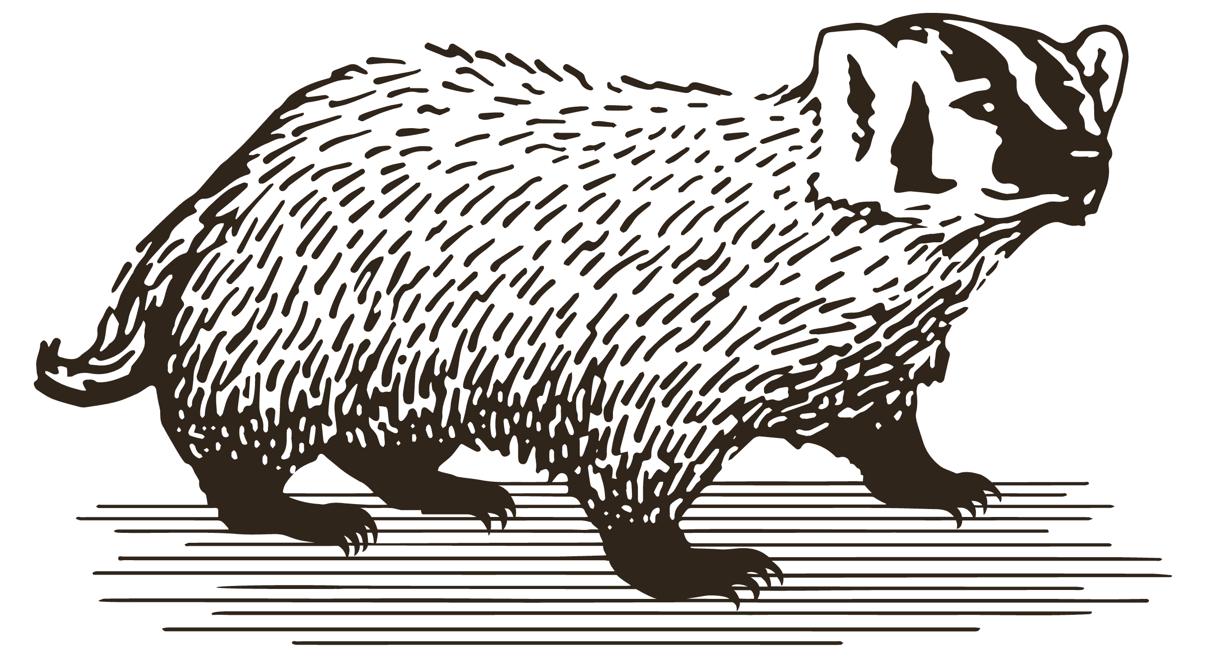 Spine clipart vertebrate. Hamel family wines mission