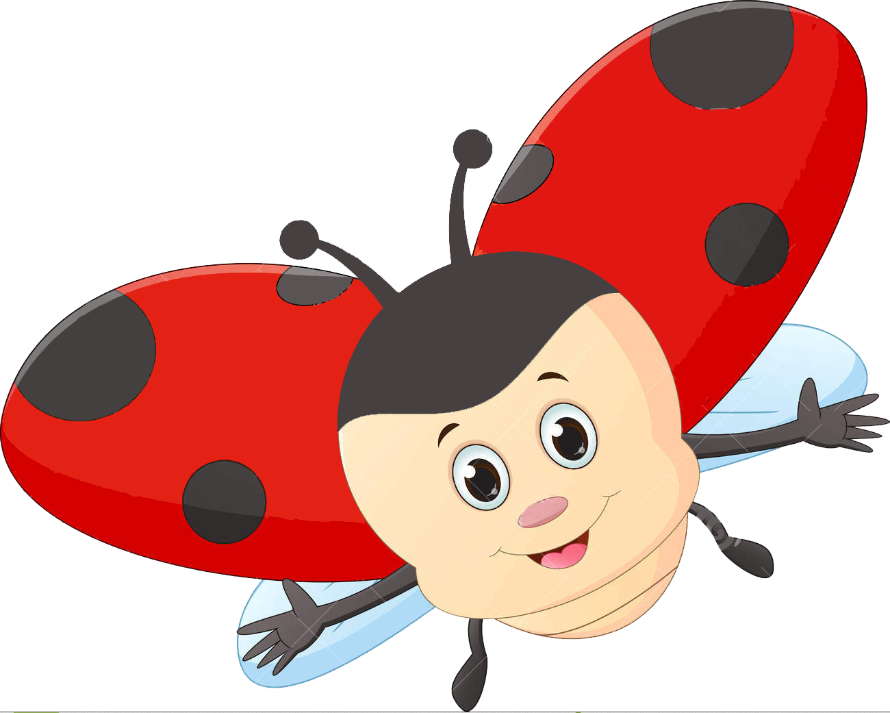 Ladybugs s zone ladybug. Splash clipart preschool