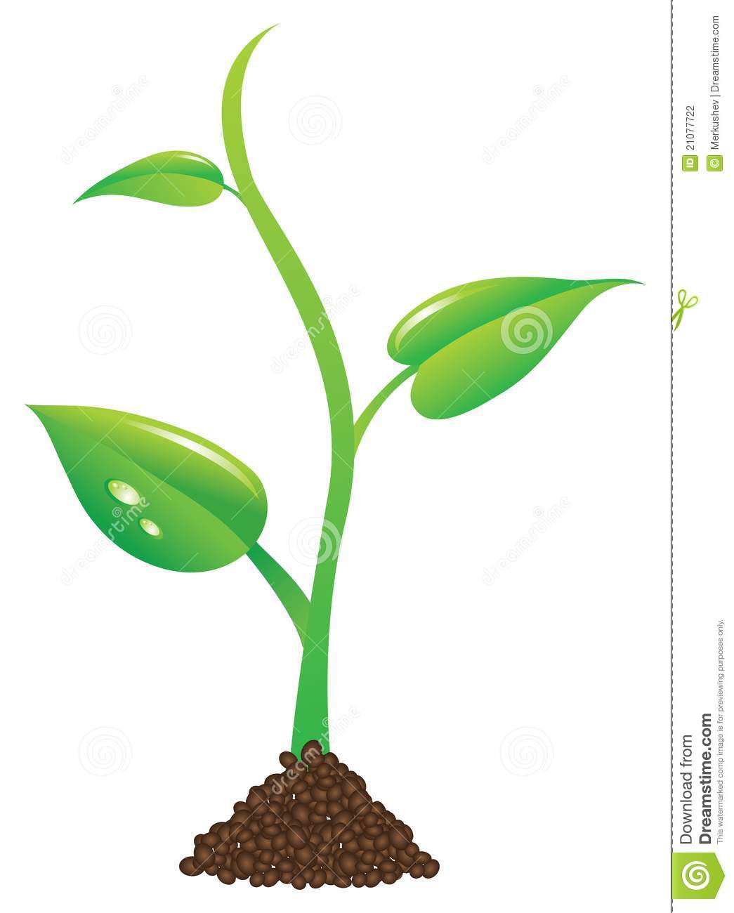 Panda free images plantwithrootsclipart. Planting clipart sprout