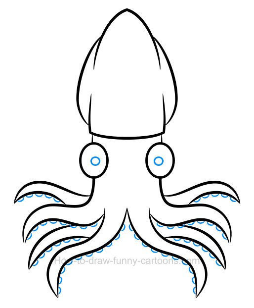 squid clipart