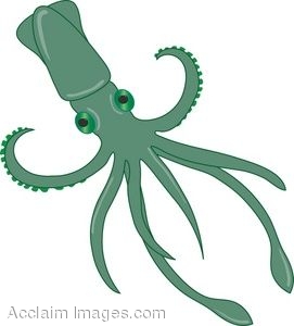 squid clipart clip art