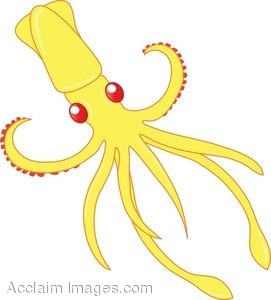 squid clipart clip art