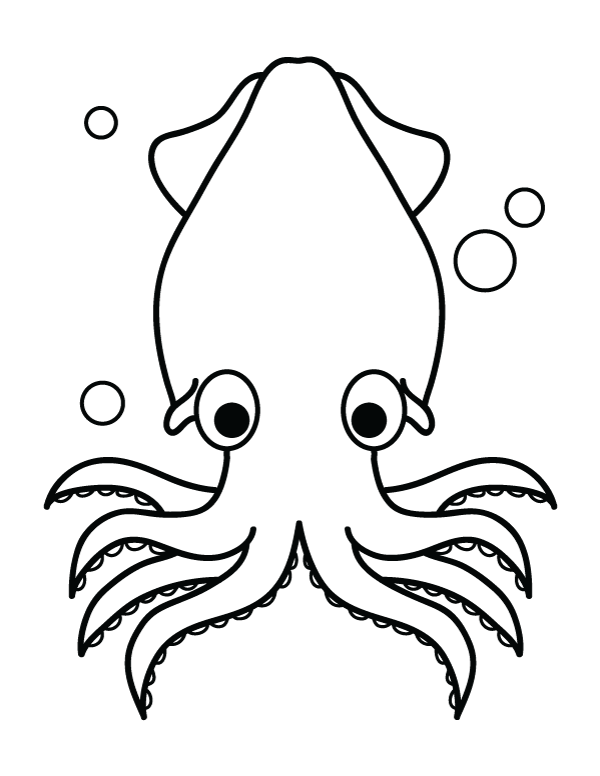 Squid clipart coloring page, Squid coloring page Transparent FREE for