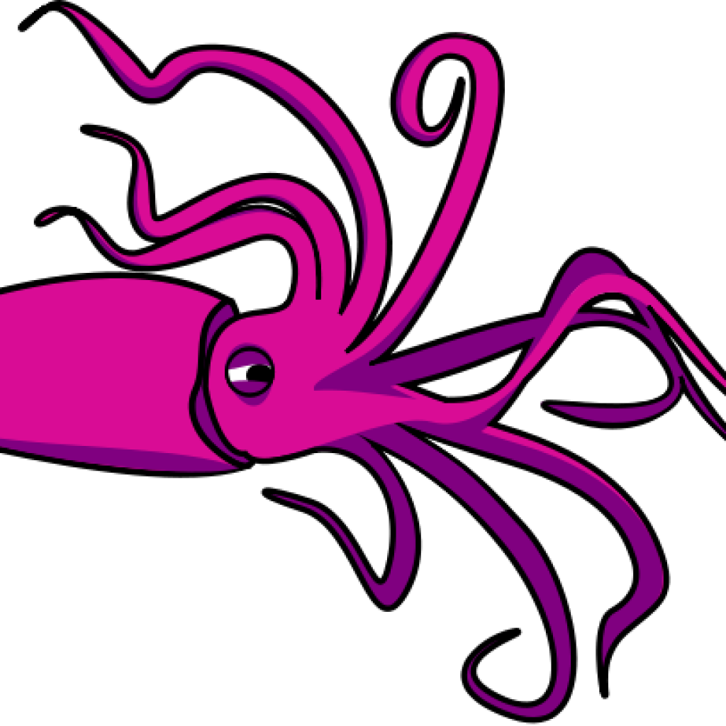Squid clipart free download on WebStockReview