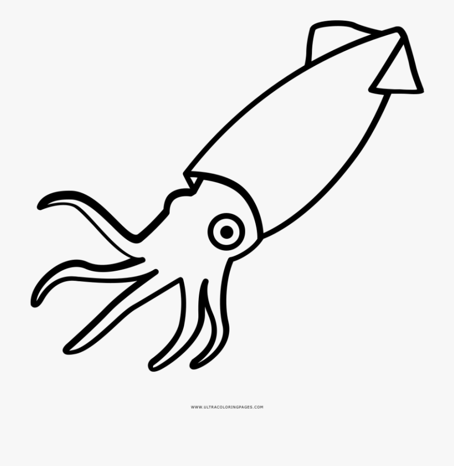 squid clipart easy