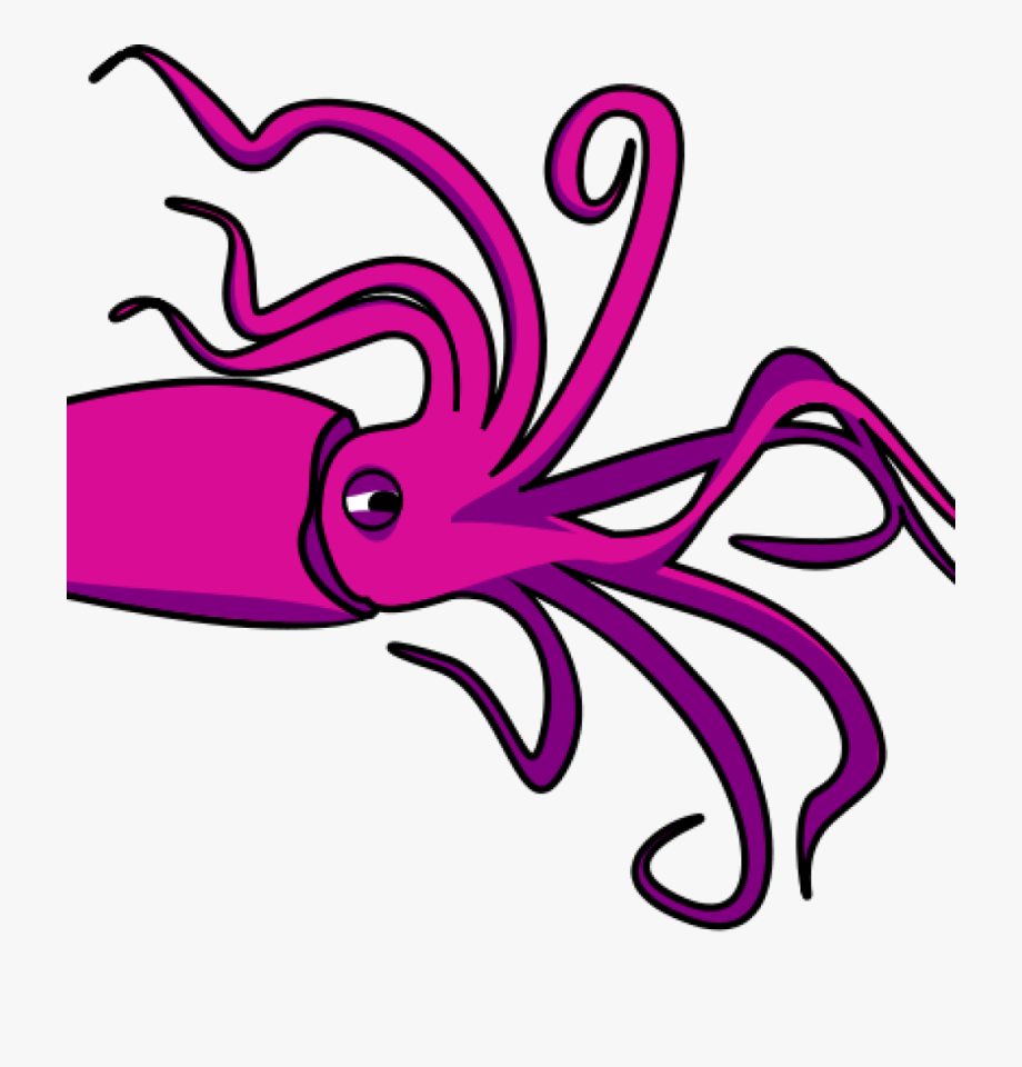 squid clipart giant squid