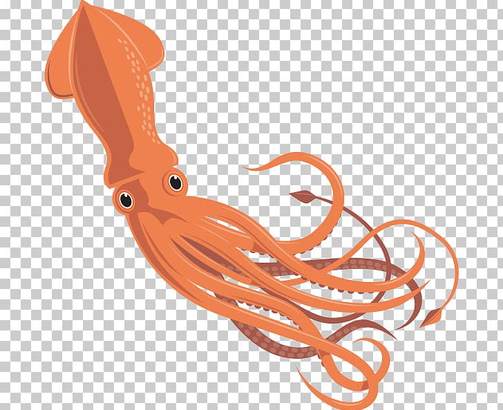 Squid clipart invertebrate animal. Giant octopus cephalopod png