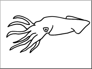 squid clipart line art