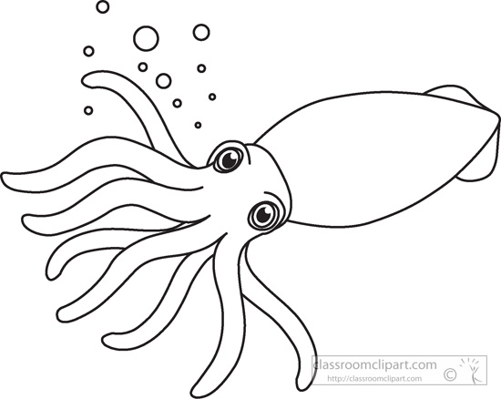 squid clipart line art