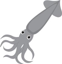 squid clipart marine animals