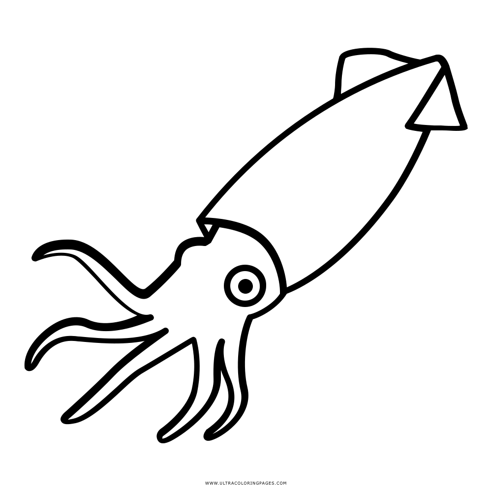 Squid clipart printable, Squid printable Transparent FREE for download