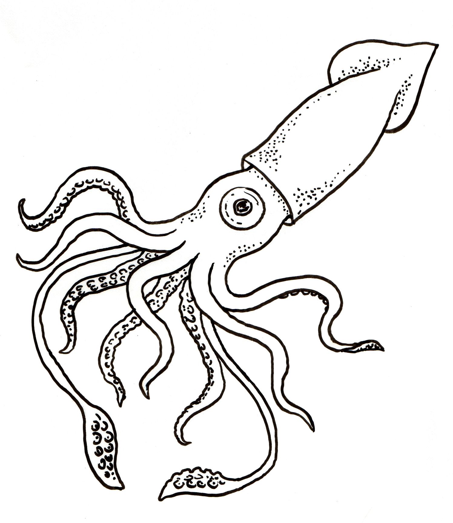 squid clipart printable