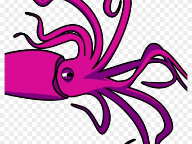 Squid clipart realistic. Free download clip art
