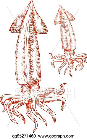 squid clipart red
