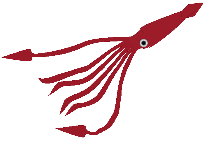 Squid clipart red, Squid red Transparent FREE for download ...