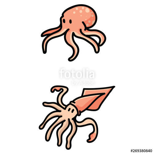 squid clipart sea animal