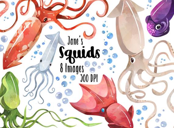 Watercolor squids download instant. Squid clipart sea life