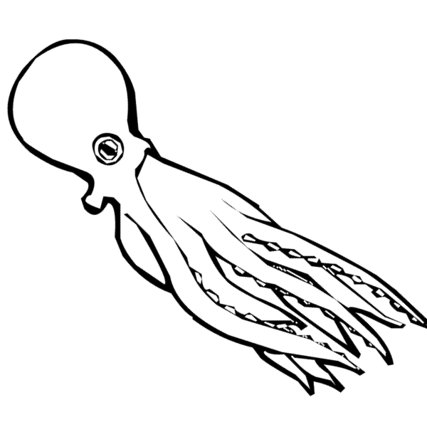 squid clipart simple