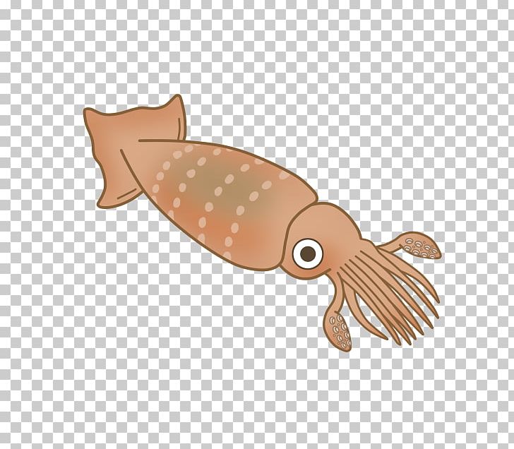 Squid clipart squid fish. Seafood png organism others