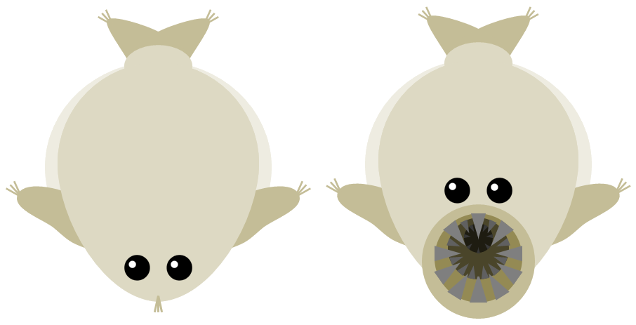 squid clipart sting ray