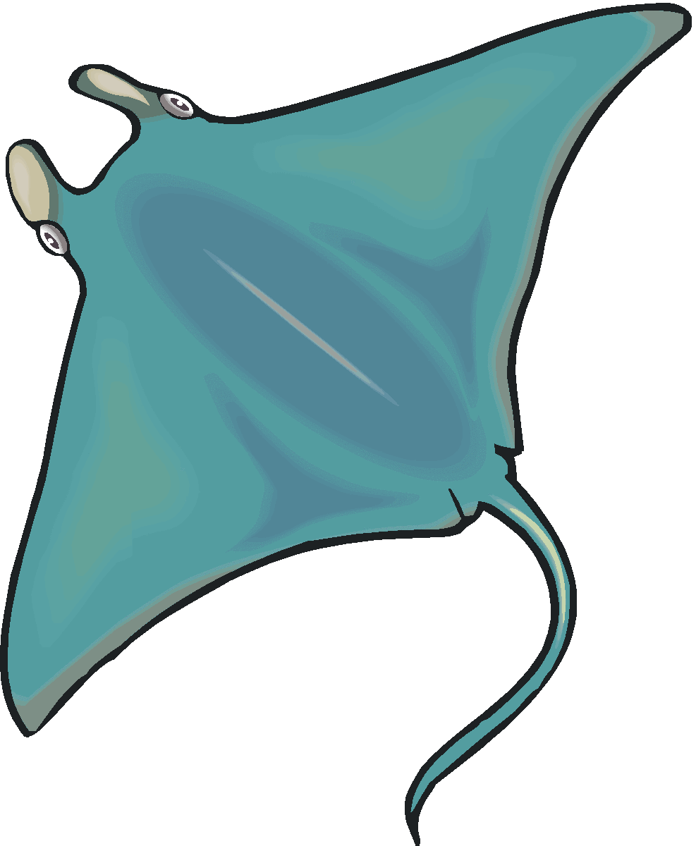 Free google search projects. Starfish clipart manta ray