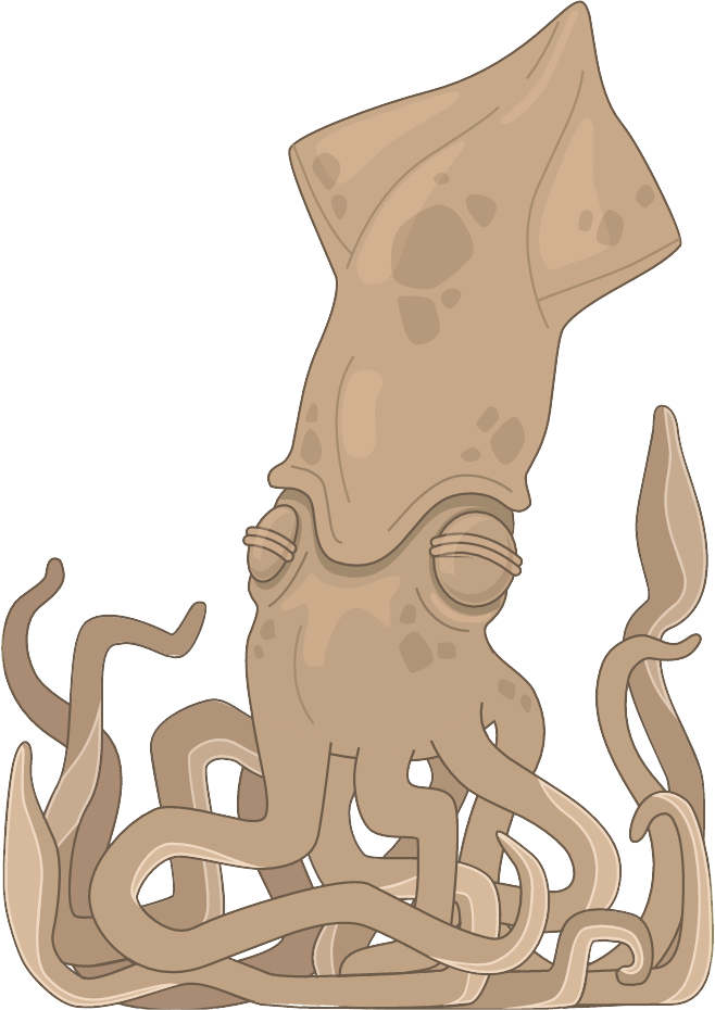 squid clipart under sea